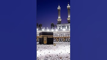 سورة المسد  تبت يدا ابي لهب وتب