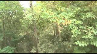 Fontanars TRAIL 2011