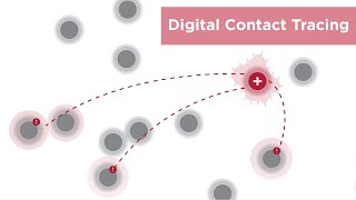 Digital Contact Tracing: A Primer