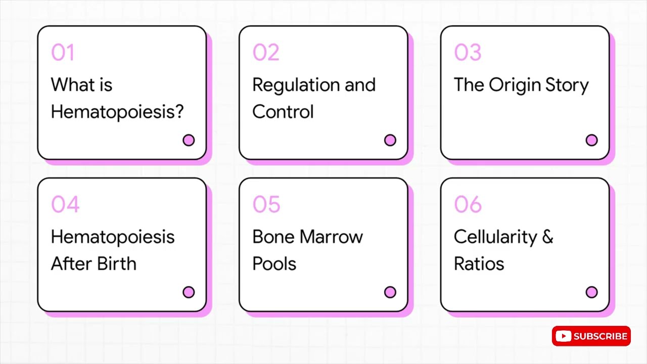 Hematopoiesis Explained: Blood Cell Formation, HSCs, Bone Marrow & Cytokines