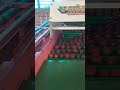 apple cleaning machine