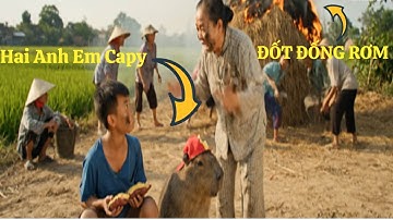 Capy và câu chuyện phá xóm ngày hè #capybara #ongbavaboss #capyvaong #vuive