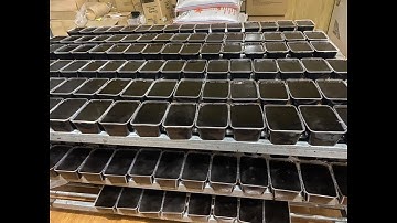 Hé Lộ Quy Trình Sản Xuất Thạch Đen "Ngon Nhức Nách" HOT NHẤT 2025