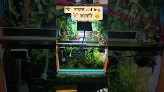 all Aquarium maintenance II aquarium cleaning #shorts #trending #viral