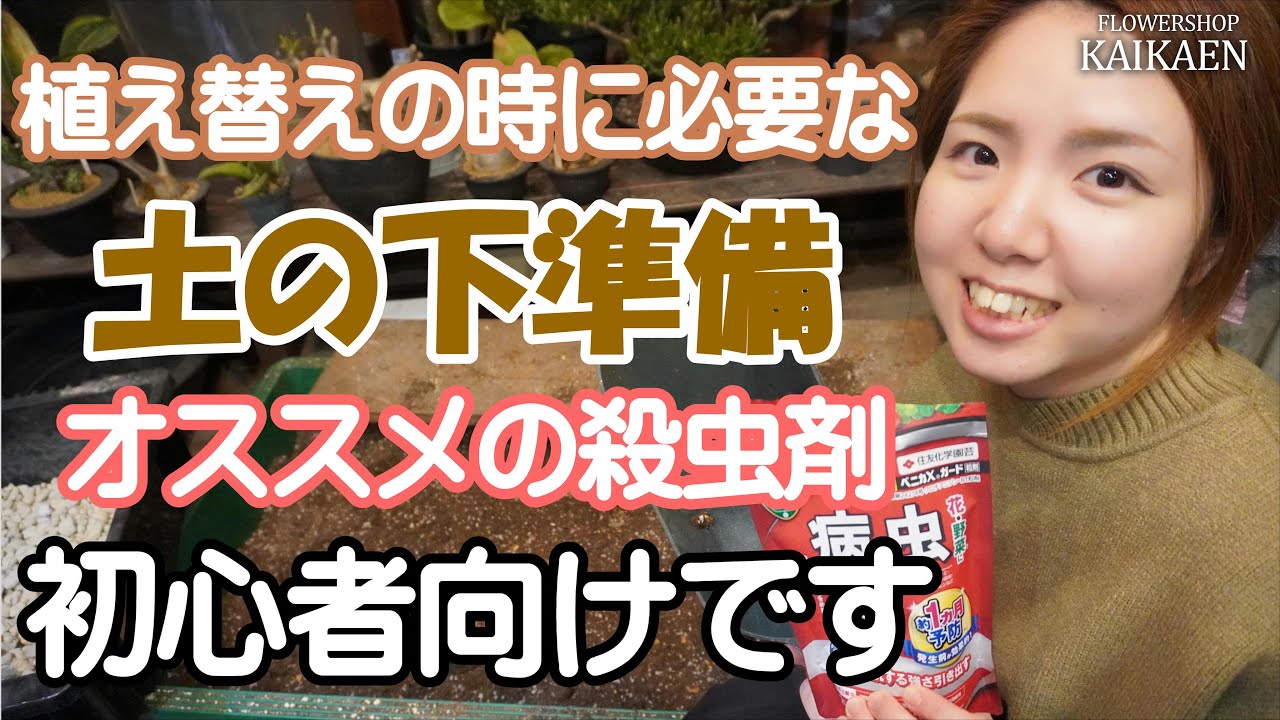 土の下準備　植え替えする前に　用意しておく物　土づくり　殺虫剤　混ぜる　初心者向け【おうちでガーデニング】開花園チャンネル
