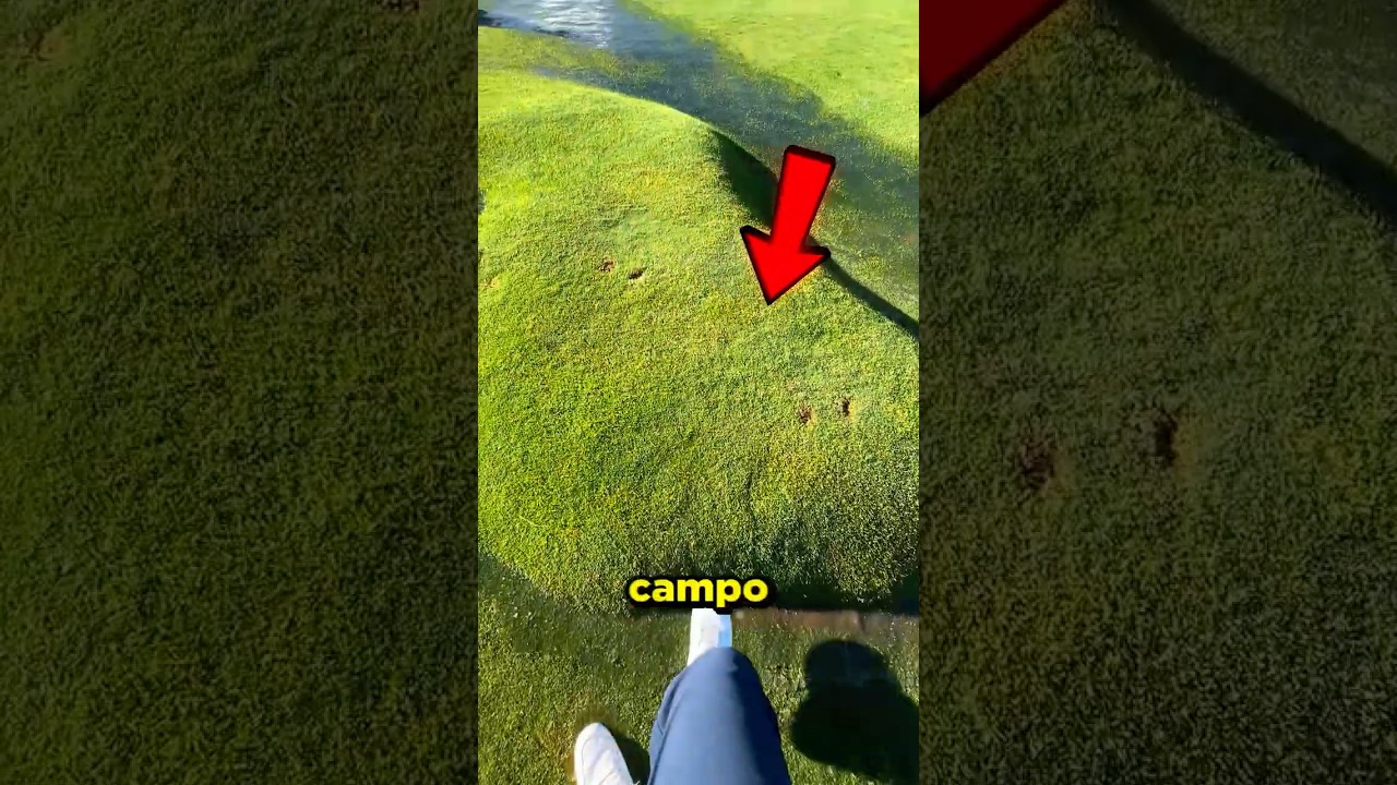 Os campos de golfe ficam com BOLHAS! #curioso #incrivel #interessante
