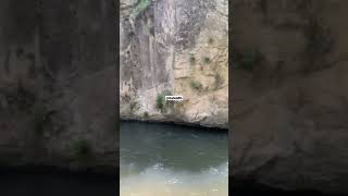 Engin Nurşani Yabancı Resimi