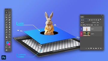 How to resize the layer in Photoshop