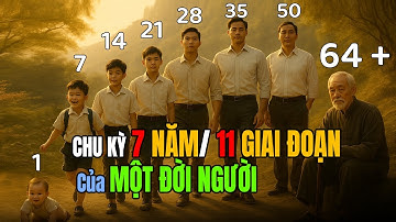 Tổng quan "CHU KỲ 7 NĂM của MỘT ĐỜI NGƯỜI" giai đoạn từ LÚC BÉ đến CUỐI ĐỜI | Thuật Cổ Nhân Chỉ Lộ