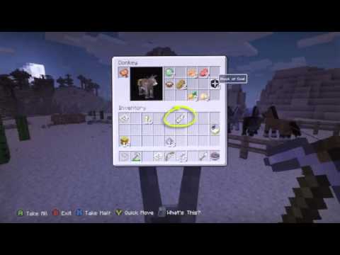 Lead Minecraft Lead Minecraft