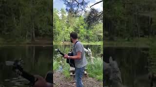 Live from a forest in Finland 🍃 #live #forest #finland #shorts