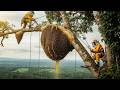 Absolutely Insane! Hunting Wild Honey on a Nearly 100m Tall Tree  #beehive #extreme #