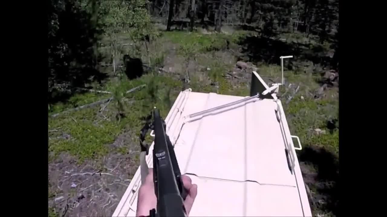 CPW traps and releases nuisance bear