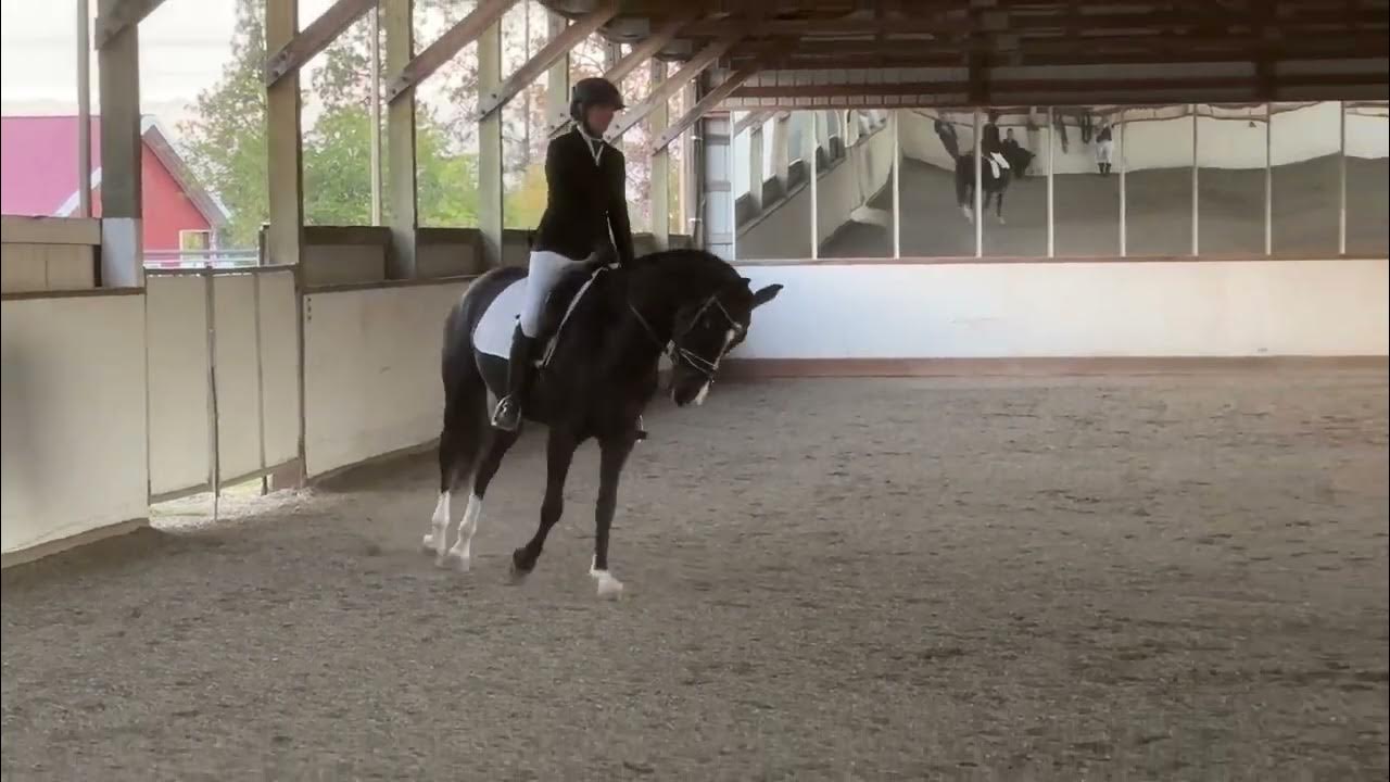 USDF Dressage Training Test 2 YouTube