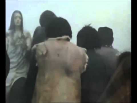 ,,ნატვრის ხე  ბრბოს ეპიზოდი