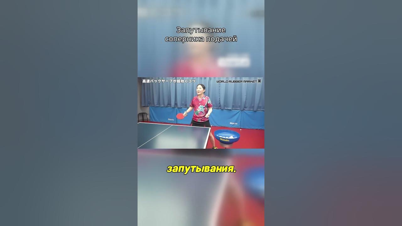 Эльгрей настольный теннис