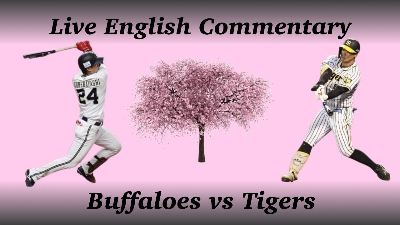 2023 NPB Exhibition Baseball Tigers vs Buffaloes Live Commentary