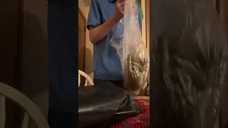 Austin Ponder THCA Pounds | Bulk Hemp Distribution Model USA