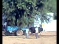 samundrian.mp4