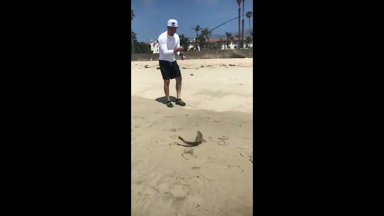 Surf Fishing with friends Santa Barbara/ Huge Corbina 