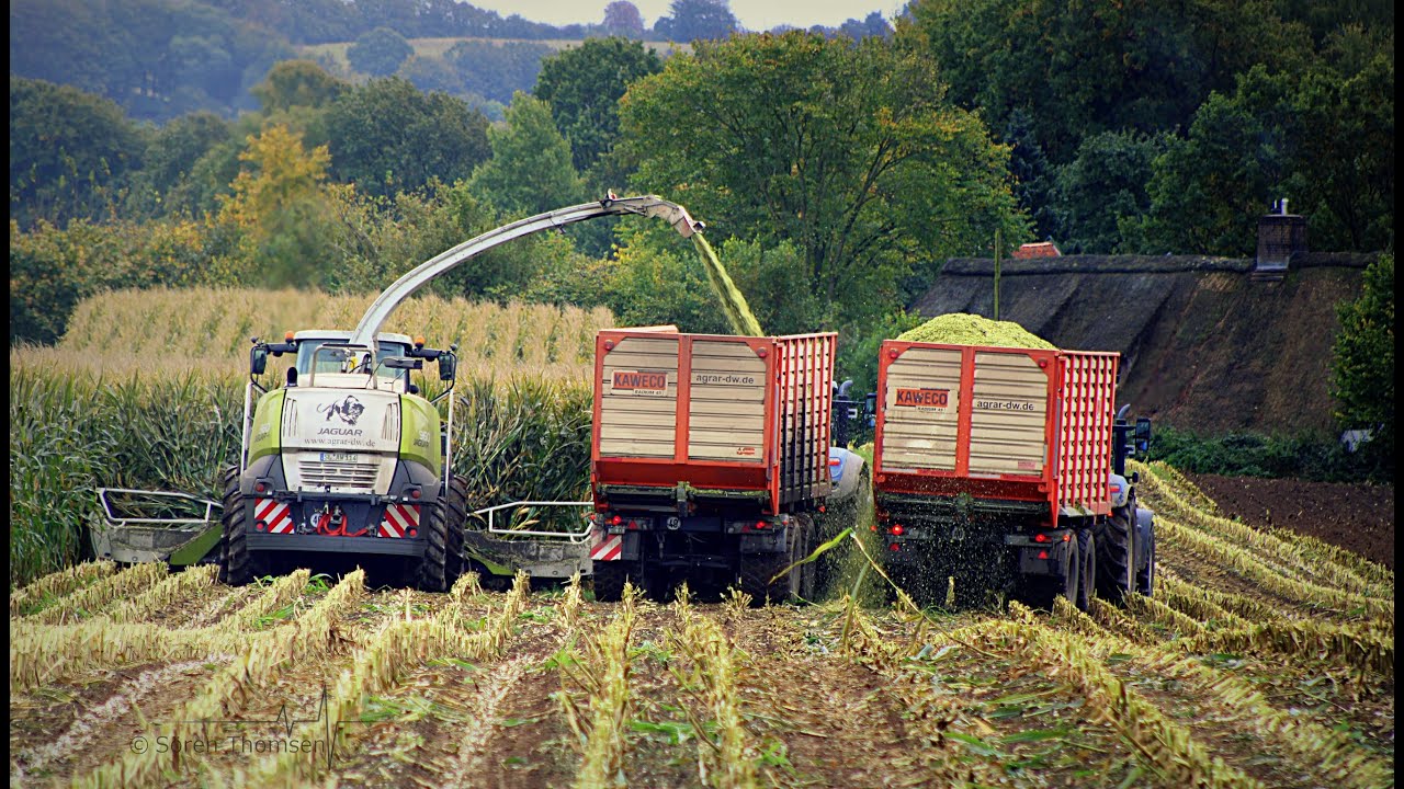 Agrar-DW beim Mais häckseln!!!