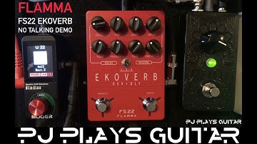 Flamma FS22 Ekoverb No Talking Demo