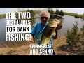 Two great lures for Bank fishing Spinnerbaits and Senkos