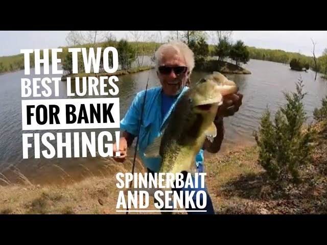 Two great lures for Bank fishing Spinnerbaits and Senkos 