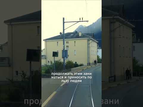 Дофаминовая ловушка: почему вам скучно без сладкого, соцсетей и кофе?