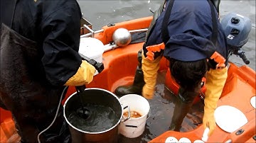 University of Antwerp Sampling Video