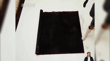 Thử Thách Giặt Chiếc Thảm Bẩn Nhất Thế Giới | LT Review