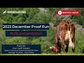 December 2023 proof run norwegian red bulls highlight presentation