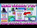 NEW SECRET VOID CRYSTAL DRAGON PET in BGSI | Roblox Bubble Gum Simulator Infinity