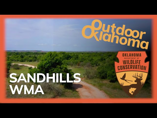 Watch Sandhills WMA on YouTube.
