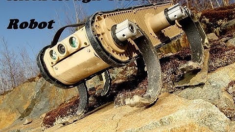 RHex Rough-Terrain Robot BOSTON DYNAMICS