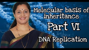 NEET : Molecular Basis of Inheritance Part VI: DNA Replication