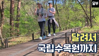 광릉숲길 힐링러닝 | 포천 남양주 당일여행 추천 | 달리는부부 🏃‍♂️🏃‍♀️| 러닝커플 | 초보러너
