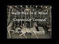 Waltz No.1 In E Minor ‘Crepuscular Carousel’ - Orchestral Version (My First* Composition)