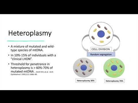 نوروپاتی بینایی ارثی لبر 