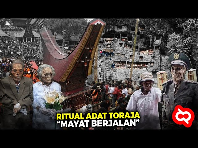 Bukti Magisnya Budaya u0026 Keindahan Alam Tana Toraja yang Menarik Perhatian Wisatawan Mancanegara class=