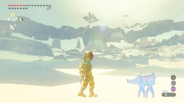 Just Messing Around with Wrong Warping (in Divine Beasts, Shrines, Etc)