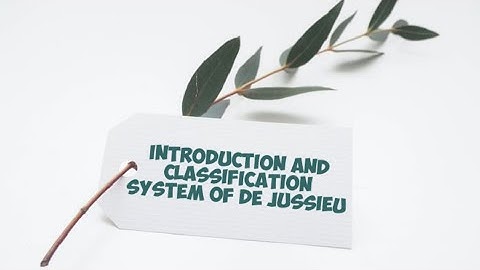 Introduction and classification system of de Jussieu