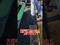 天然高級アカムシの為なら水の上も歩きます! #shorts #short #熊本