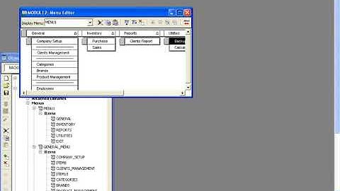Menu In Oracle (In Urdu)