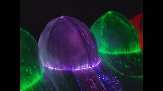 Fiber Optic Baseball Cap Led Glow