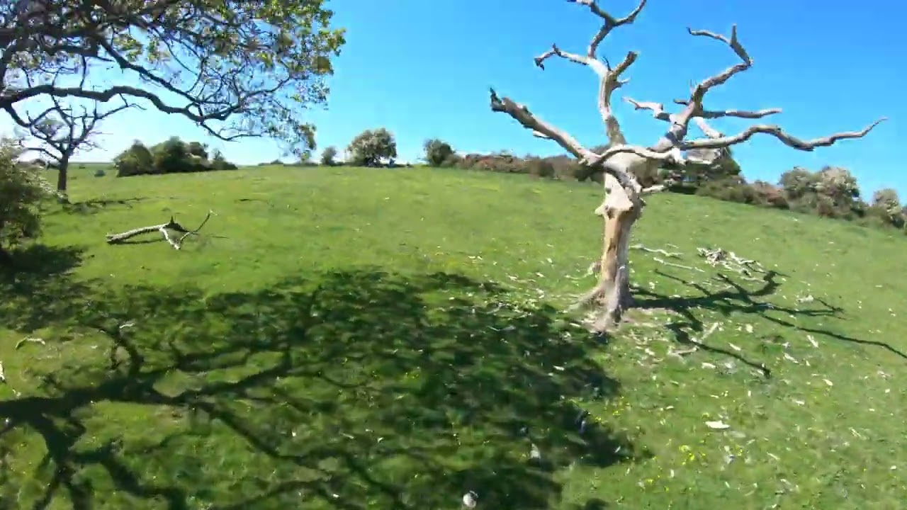 Brighton Till I Fly FPV