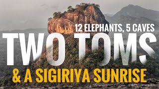 Ep 7 | Two Toms climb Pidurangala Rock for a Sigiriya Sunrise then tackle 1700 steps at Dambulla