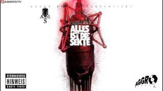 ROYAL TS  (SIDO & B-TIGHT) HIER GEHS UM RAP - ALLES IST DIE SEKTE - ALBUM - TRACK 11