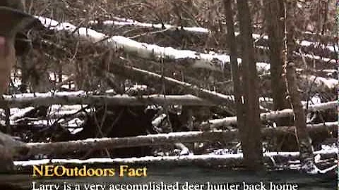 Hog Wild Seg 1 2011.wmv