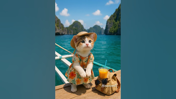 OMG 😱 She is too cute. Are you mad??  #singingcat #cute #cat #viralcats